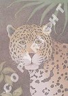 Jaguar im Dschungel