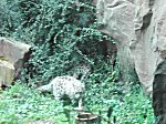 Koelner Zoo