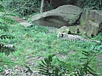 Koelner Zoo