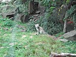 Koelner Zoo