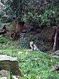Koelner Zoo