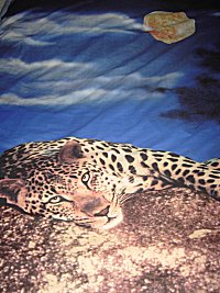 Wilde Bettw�sche